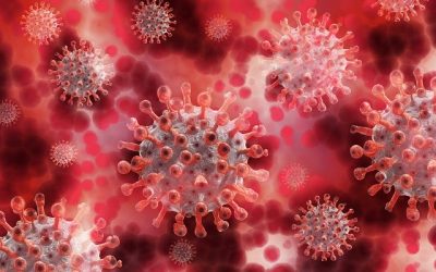 Tout sur  coronavirus et ses origines