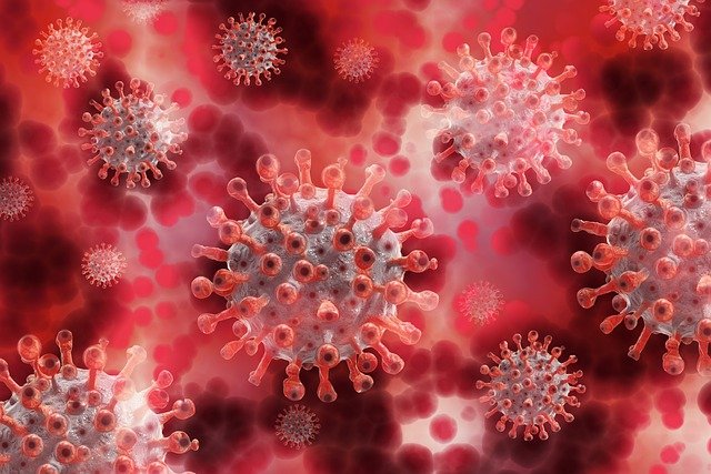 Tout sur  coronavirus et ses origines